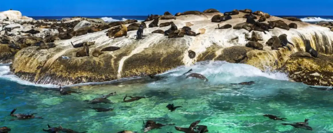 Luxurious 5-Star Adventure-1